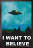 FRAMED ART: I WANT TO BELIEVE