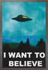 FRAMED ART: I WANT TO BELIEVE